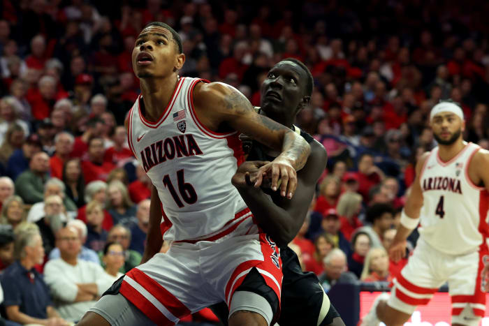 Keshad Johnson, Arizona Wildcats